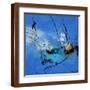 Brown Frame