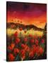 Stretched Canvas
