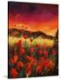 Stretched Canvas