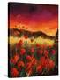 Stretched Canvas