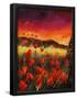 Essential Black