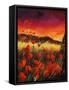 Canvas Black