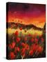 Stretched Canvas