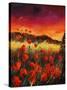 Stretched Canvas