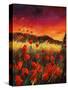 Stretched Canvas