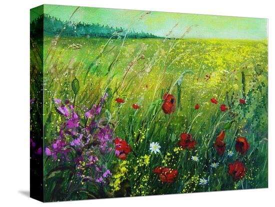 Stretched Canvas Print, , large