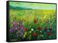 Canvas Black
