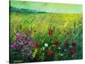 Stretched Canvas