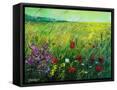 Canvas Black