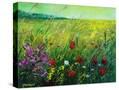 Stretched Canvas