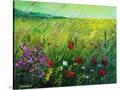 Stretched Canvas