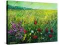 Stretched Canvas