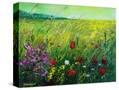 Stretched Canvas