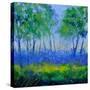 Stretched Canvas