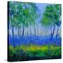 Stretched Canvas