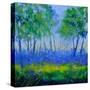Stretched Canvas