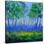 Stretched Canvas