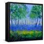 Canvas Black