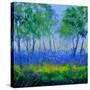 Stretched Canvas