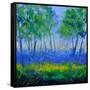 Canvas Black