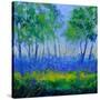 Stretched Canvas