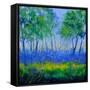 Canvas Black