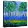 Stretched Canvas