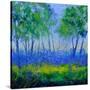 Stretched Canvas