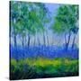 Stretched Canvas
