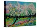 Stretched Canvas
