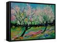 Canvas Black