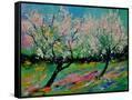 Canvas Black