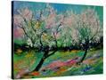 Stretched Canvas
