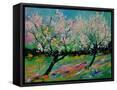 Canvas Black
