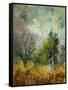 Canvas Black