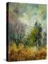 Stretched Canvas