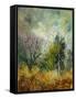 Canvas Black