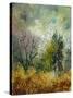 Stretched Canvas