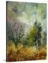 Stretched Canvas