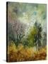 Stretched Canvas