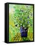 Canvas Black