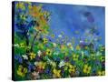 Stretched Canvas