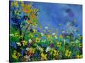 Stretched Canvas