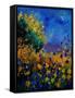 Canvas Black