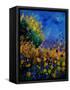 Canvas Black