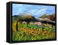 Canvas Black