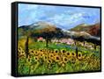Canvas Black