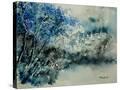 Stretched Canvas