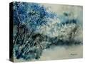 Stretched Canvas