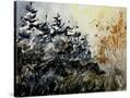 Stretched Canvas